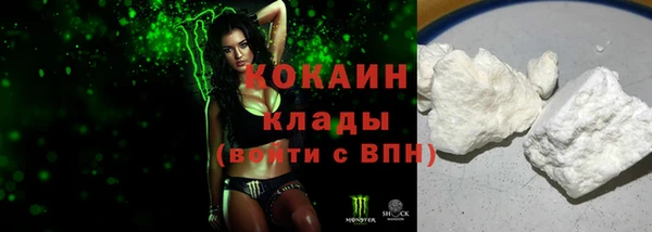 молекула духа Бородино