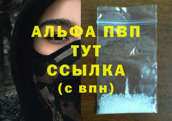 молекула духа Бородино