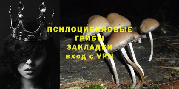 молекула духа Бородино