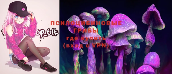 марки nbome Вяземский