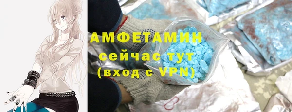 молекула духа Бородино